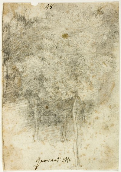 Grove of Trees av Federico Barocci
