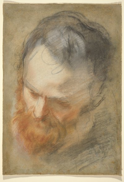 Hodet til en skjeggete mann av Federico Barocci