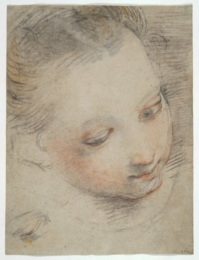 Head of a Girl, studer etter en figur i Madonna del Popolo-altertavlen i Uffizi av Federico Barocci