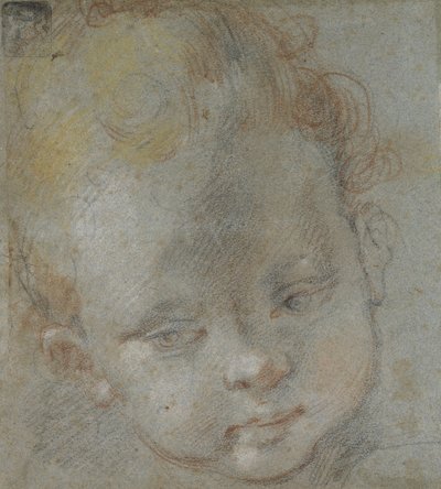 Recto: Head of a Child (svart, rødt, hvitt, rosa og gult kritt på blågrått papir) av Federico Barocci