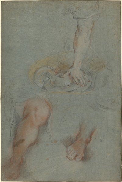 Studier for en tjener i "The Last Supper" av Federico Barocci