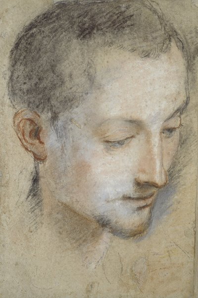 Studie av en ung manns hode (svart, rødt og rosa kritt på gråaktig papir) av Federico Barocci