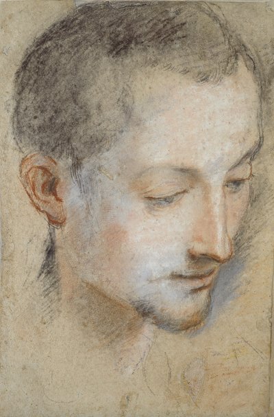 Studie av en ung manns hode, sent på 1500-tallet av Federico Barocci
