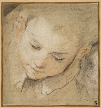 Hodet til en gutt som ser ned av Federico Fiori Barocci or Baroccio