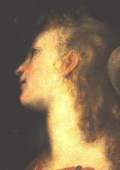 Hodet til en engel av Federico Fiori Barocci or Baroccio