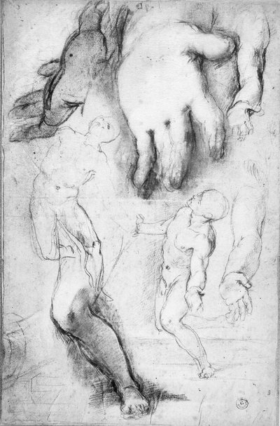 Studie for figuren til St. Frans (kritt på papir) av Federico Fiori Barocci or Baroccio