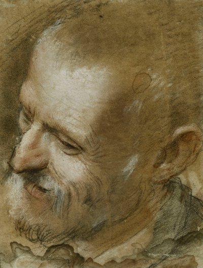Studie av hodet til en skjegget mann vendt mot venstre, 1590 av Federico Fiori Barocci or Baroccio
