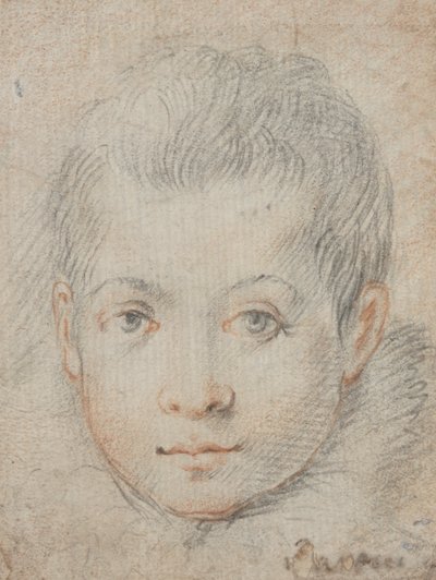Hodet til en gutt av Federico Zuccaro