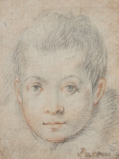  av Federico Zuccaro