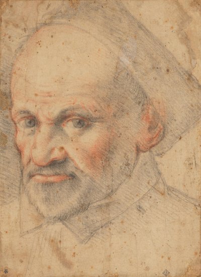  av Federico Zuccaro