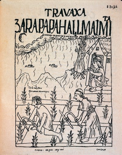 Et Inca Hatun Runa-par som jobber på marka i januar (blekktegning av Felipe Huaman Poma de Ayala