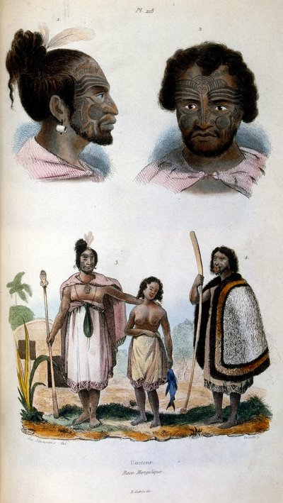 Antropologisk illustrasjon som viser maori-rasen av Felix-Edouard Guerin
