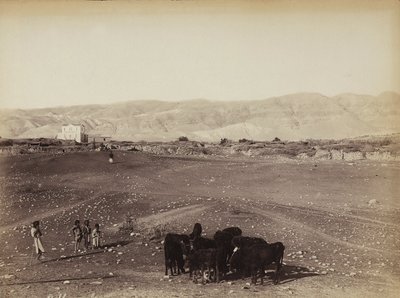 Et steinete område med barn og beitedyr, i Egypt av Félix Bonfils