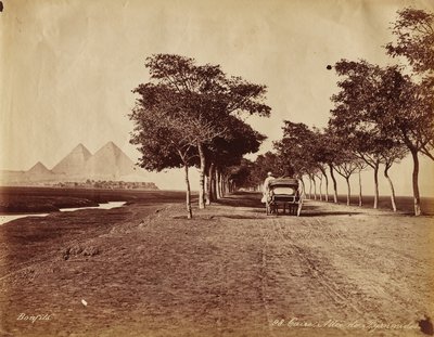 Kairo. Alley of Pyramids av Félix Bonfils