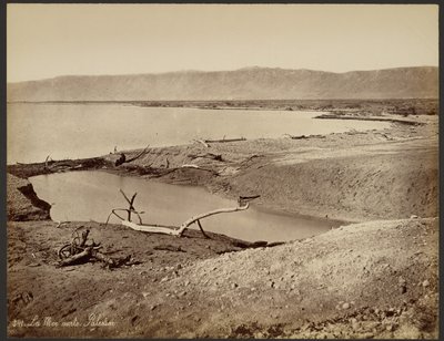 Dødehavet, Palestina av Félix Bonfils