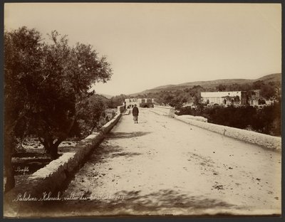 Palestina - Kolonick, Terebint-dalen av Félix Bonfils