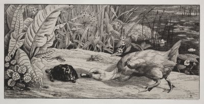 En ukjent av Felix Bracquemond