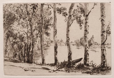 Osp på Seinebredden av Felix Bracquemond