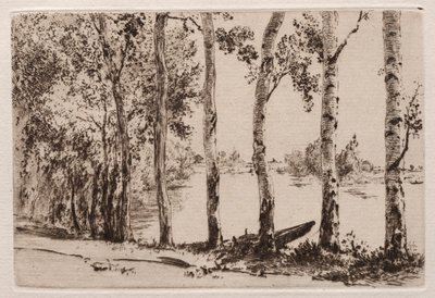 Osp på Seinebredden. av Felix Bracquemond