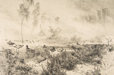 Morgentåker, 1882. av Felix Bracquemond