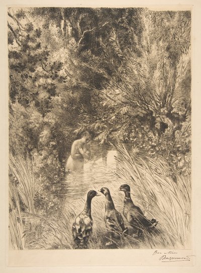 Overrasket ender, 1882. av Felix Bracquemond