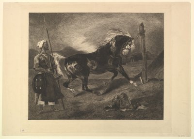 Arabisk hest på innsats, etter Delacroix, 1857. av Felix Bracquemond