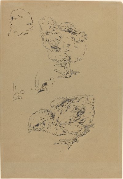 Kyllinger av Felix Bracquemond