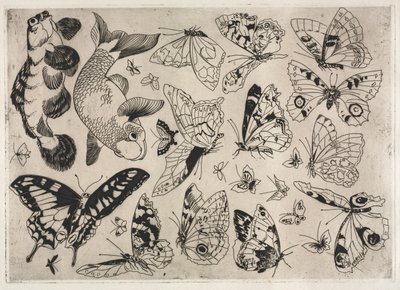 Middagsservering (Rousseau-servering): Sommerfugler og fisk (nr. 16) av Felix Bracquemond