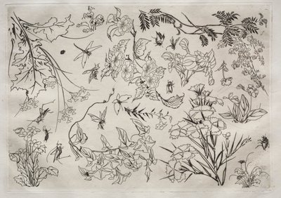Middagsservering (Rousseau-servering): Blomster (nr. 22) av Felix Bracquemond