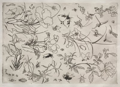 Middagsservering (Rousseau-tjenesten): Blomster og insekter (nr. 15) av Felix Bracquemond