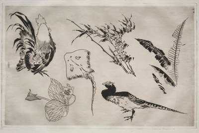 Middagsservering (Rousseau-tjenesten): Haner, skøyter, planter osv. (nr. 9) av Felix Bracquemond