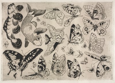 Middagsservering Rousseau-servering: Sommerfugler og fisk nr. 16, 1866. av Felix Bracquemond