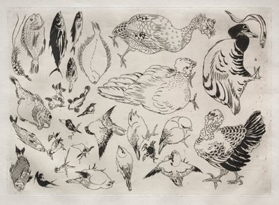Middagsservering Rousseau-servering: Ender, fisk etc. nr. 12, 1866. av Felix Bracquemond