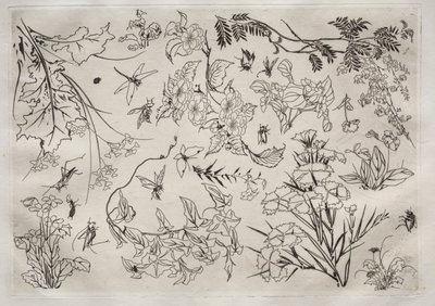 Middagsservering Rousseau-servering: Blomster nr. 22, 1866. av Felix Bracquemond