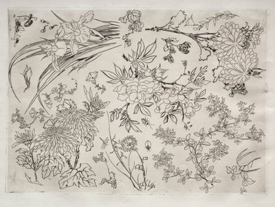 Middagsservering Rousseau-servering: Blomster nr. 23, 1866. av Felix Bracquemond