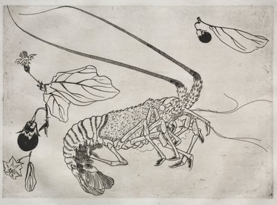 Middagsservering Rousseau-servering: Stor hummer med hevet antenne nr. 21, 1866. av Felix Bracquemond