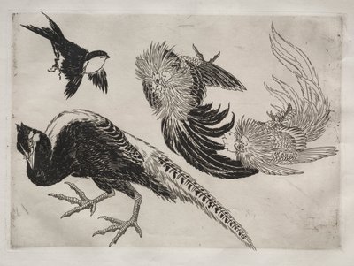 Middagsservering Rousseau-servering: Fasaner og fugl nr. 18, 1866. av Felix Bracquemond
