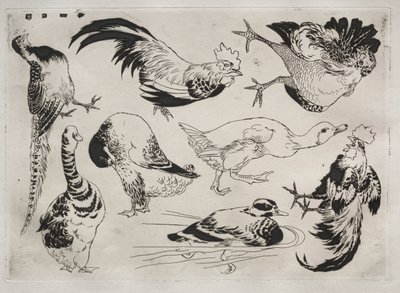 Middagsservering Rousseau-servering: Haner, ender o.l.nr. 13, 1866. av Felix Bracquemond
