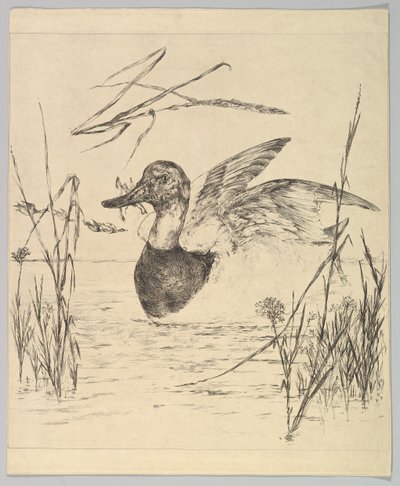 And, 1850-1914. av Felix Bracquemond