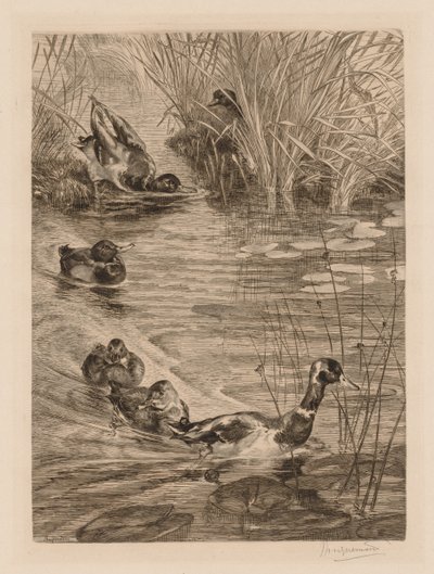 Ender i lek, ca. 1870. av Felix Bracquemond