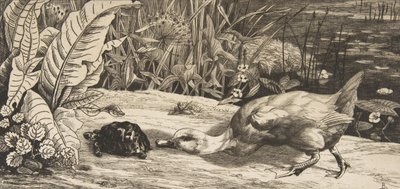 Det ukjente, 1862. av Felix Bracquemond