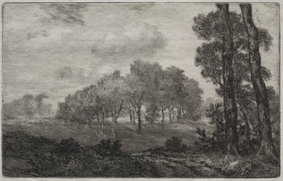 Landskap, etter fransk av Felix Bracquemond