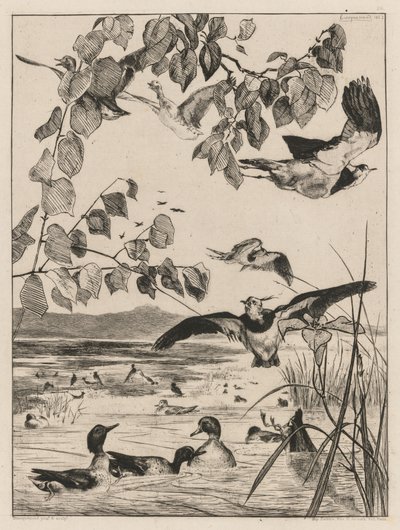 Vivi og krikk, 1862. av Felix Bracquemond
