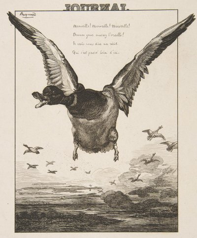 Anden, 1856. av Felix Bracquemond