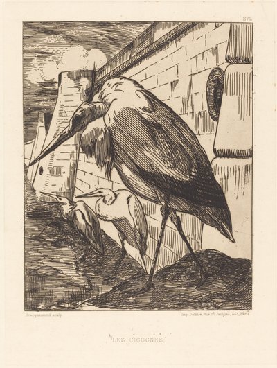 Les Cigognes (Storkene) av Felix Bracquemond