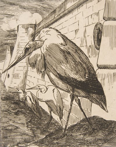 Storkene, 1870-årene, 1870-årene. av Felix Bracquemond