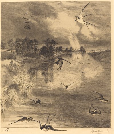 Les Hirondelles (Svalene) av Felix Bracquemond