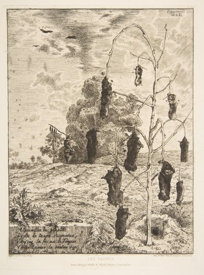 Føflekkene, 1854. av Felix Bracquemond