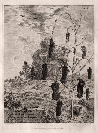 Føflekker av Felix Bracquemond