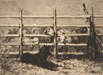 Gjetet sau, 1856. av Felix Bracquemond